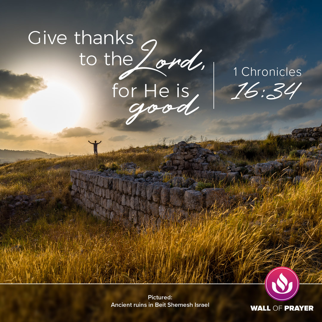 Give thanks to the Lord for He is good 1 Chronicles 16:34 #WallOfPrayer