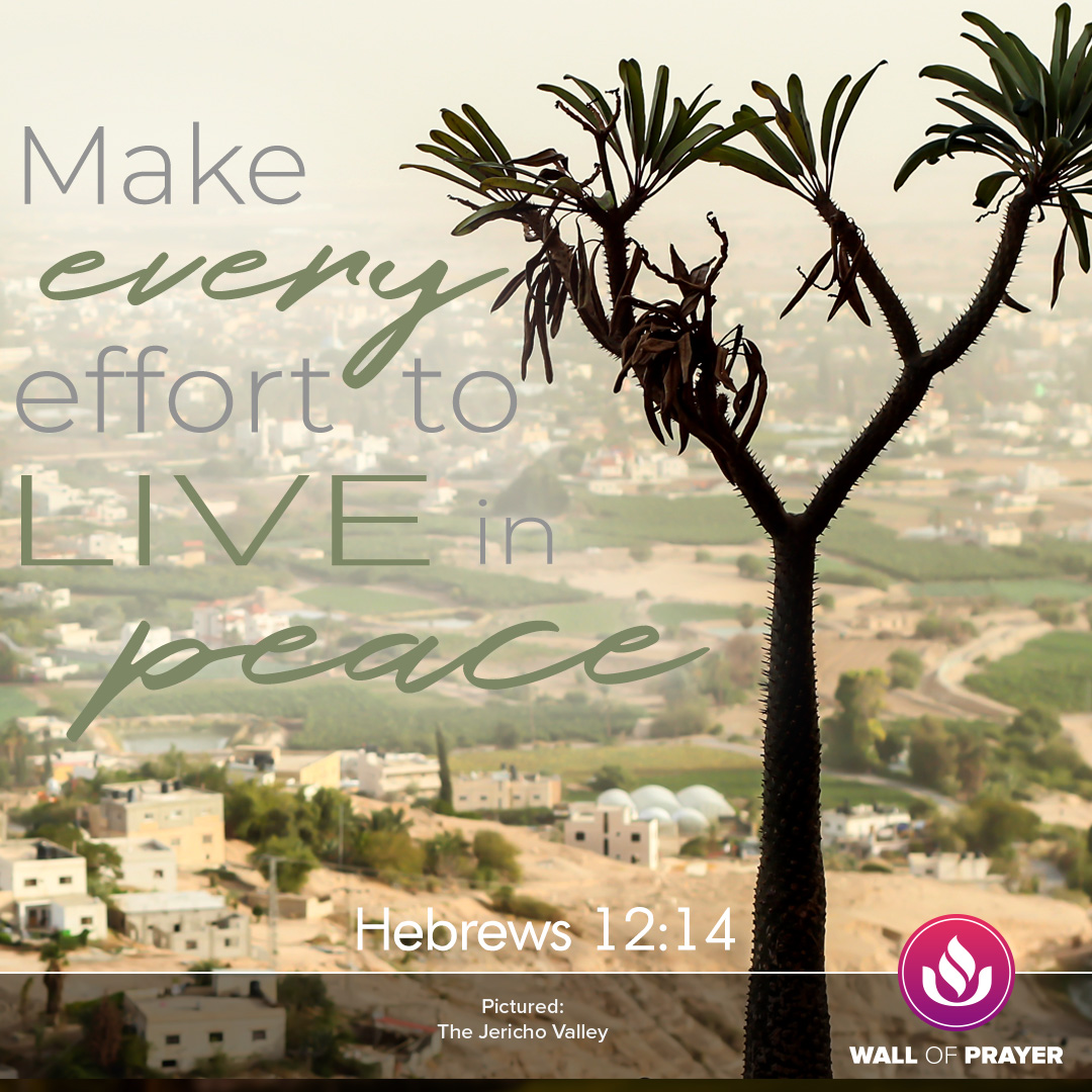 Make Every Effort To Live In Peace