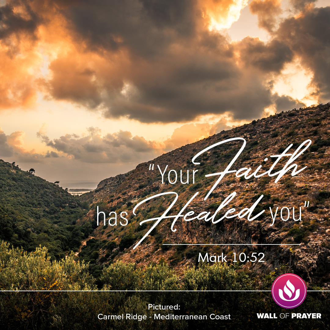 Your Faith Has Healed You
